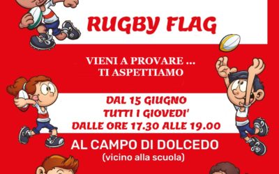 RUGBY FLAG